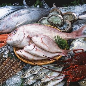 Hải sản Nghệ An