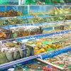 Hải sản tươi sống