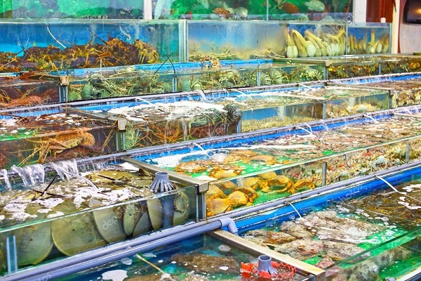Hải sản tươi sống